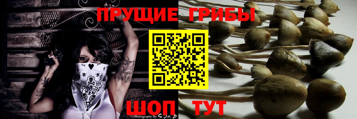 Новокуйбышевск  где продают наркотики  Вход с VPN  Галлюциногенные грибы GOLDEN TEACHER 